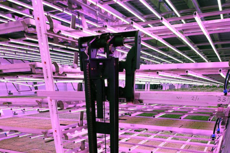 Industrial Lighting for Vertical Farming, Indoor LED grow lights