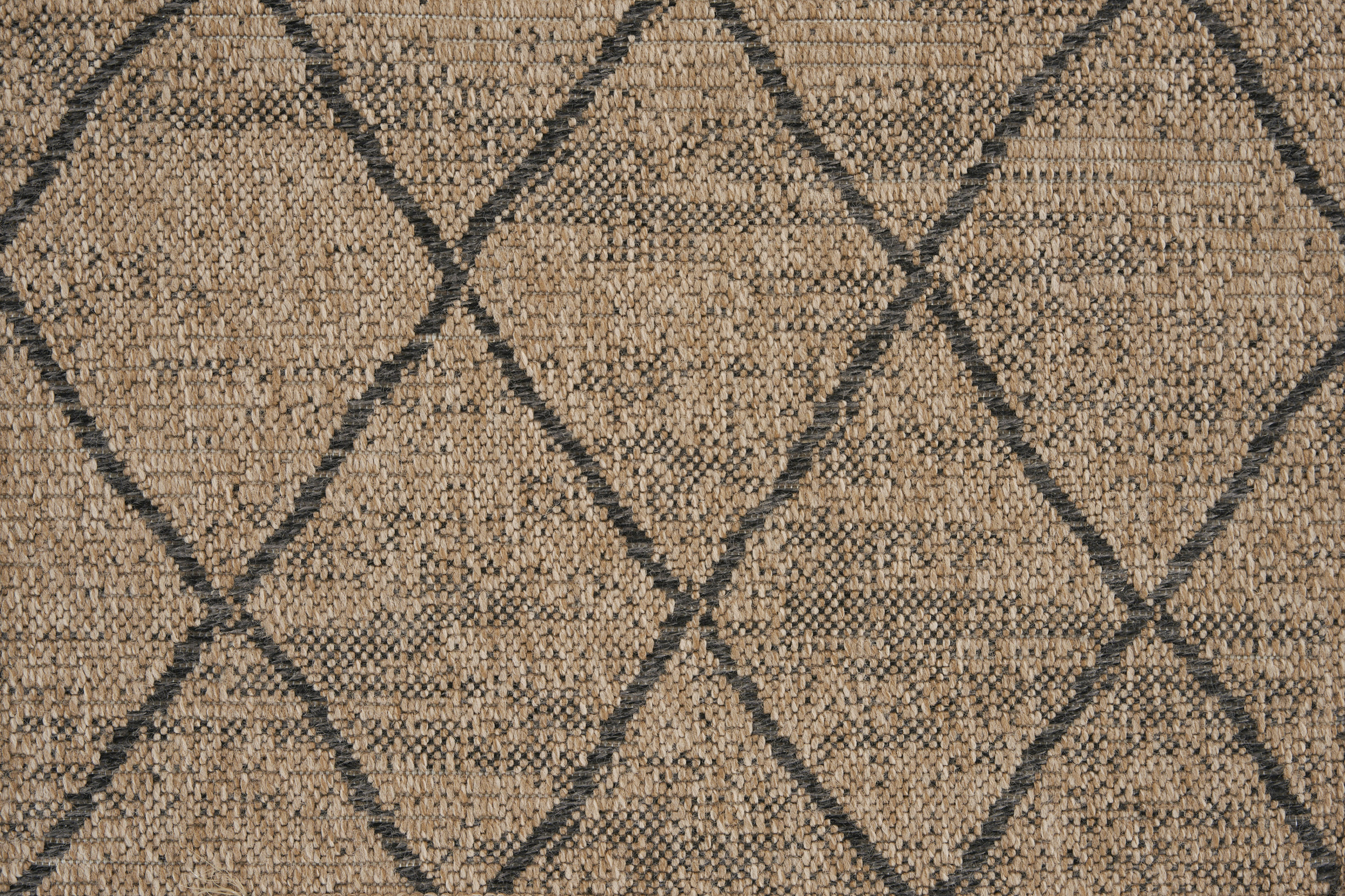 color-rug1