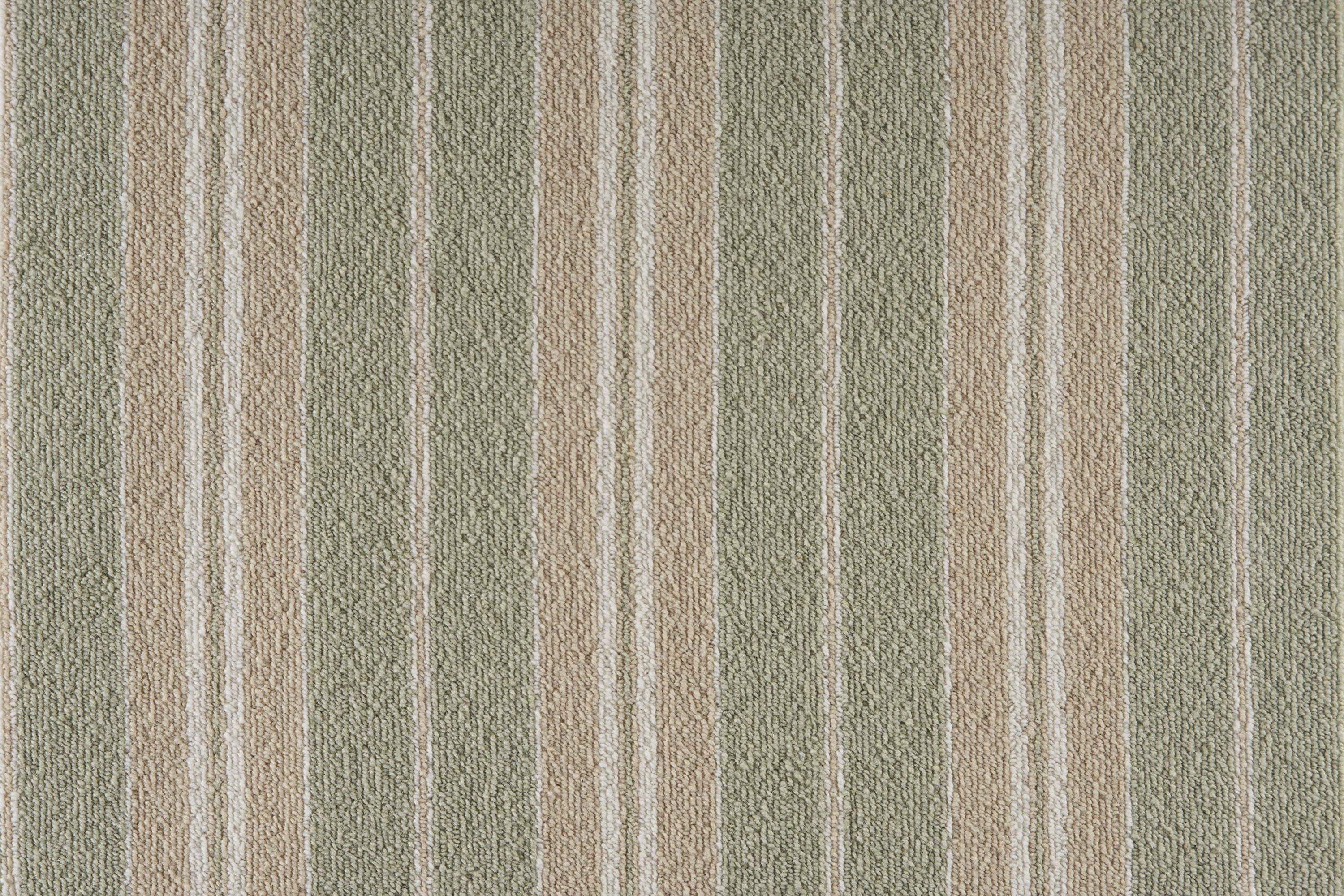 color-rug1