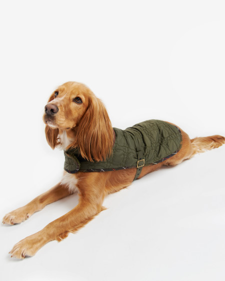Dog Bone Quilted Dog Coat