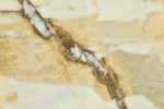 VITL Quartz HD Macchia Vecchia 63×126 Slab Polished
