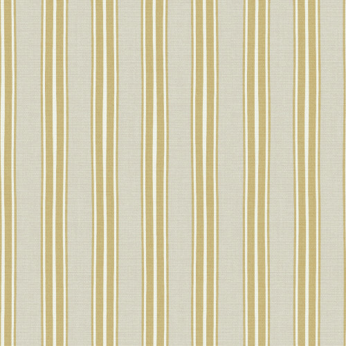 Larry Ochre Vertical blind