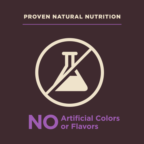 Wellness CORE Digestive Health Age Advantage Chicken & Brown Rice marketing callout