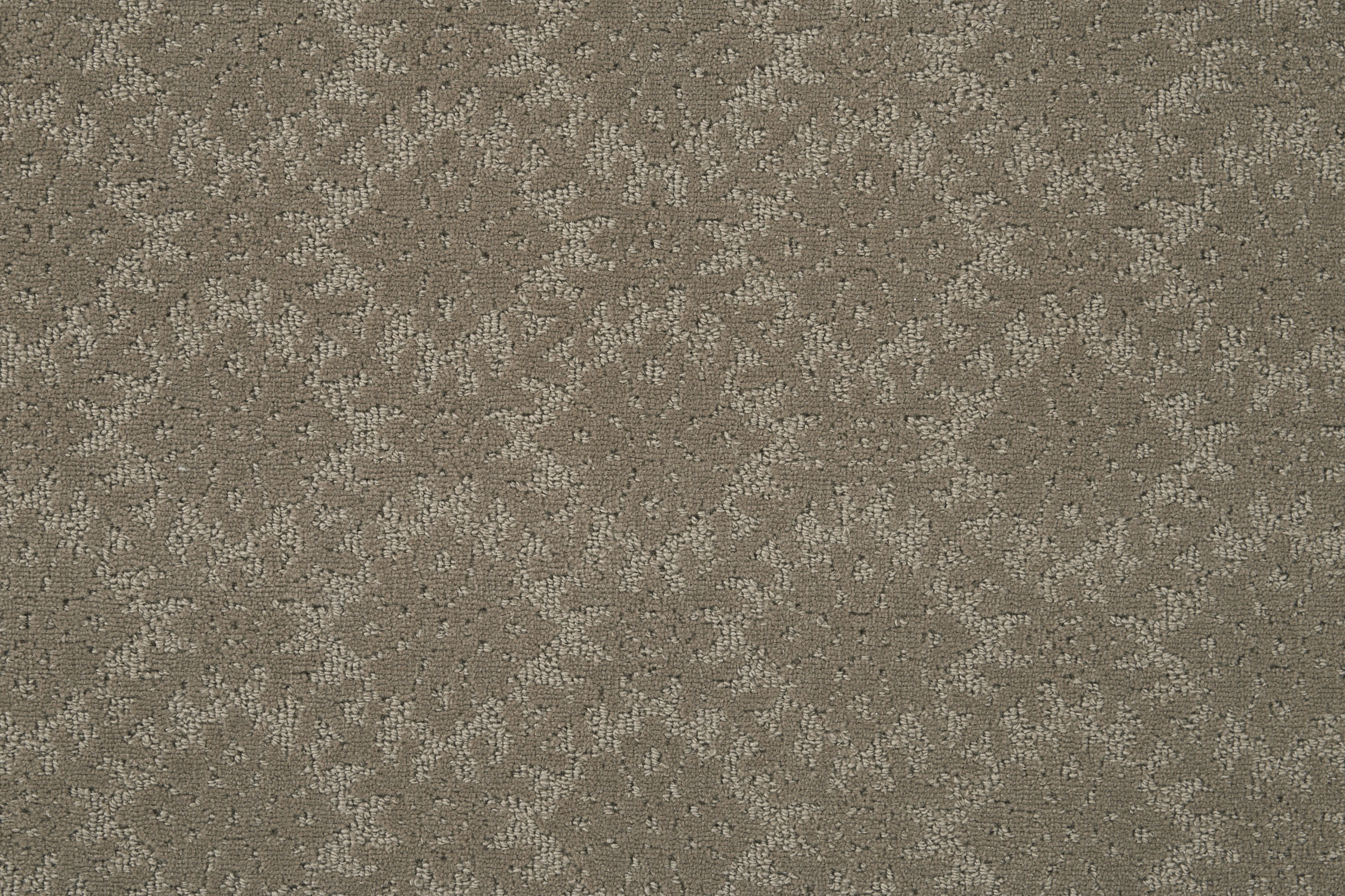 color-rug1