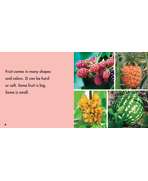s--5PoP3oFJ--/nagitxvv8oyusq3fls1t.jpg