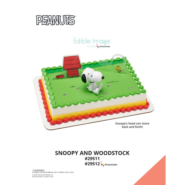 Peanuts® Snoopy® and Woodstock® The Magic of Cakes® PhotoCake® Enhanced Background Page