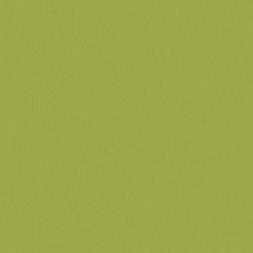 Acacia Forest Roller Blind