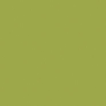 Solid olive-green textured surface filling the frame, appearing matte and evenly lit, functioning as a plain backdrop with faint grain but no discernible surroundings.