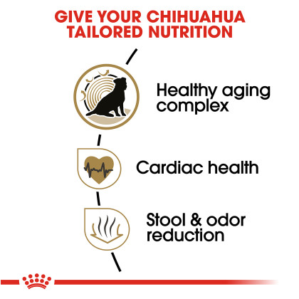 Chihuahua 8+ Dry Dog Food