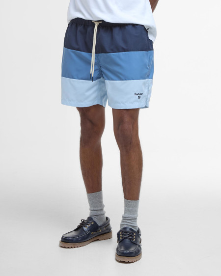 Dale Swim Shorts