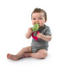 Simply Bright Starts™ Garden Chews™ Teether