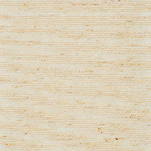 Beige woven grasscloth wallpaper, horizontal fine ribbed weave with scattered darker fibers, lying flat and evenly lit in a close-up view, serving as a neutral interior wall covering.