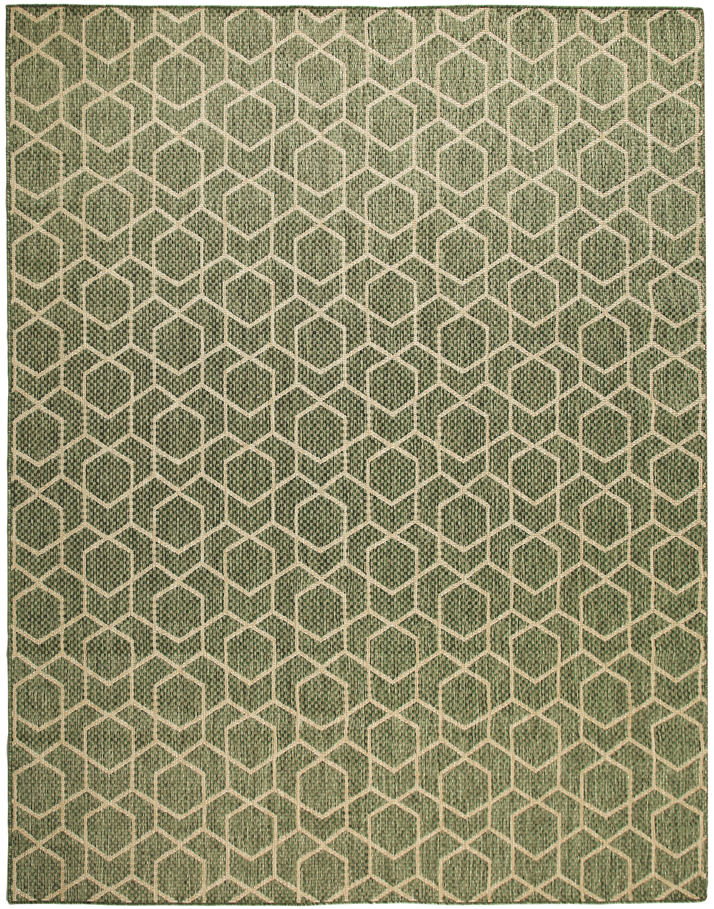 Nourison Horizon Indoor/Outdoor 8' x 10' Green Modern Rug