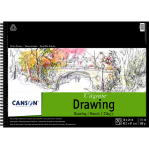 Artist Series C à Grain Drawing Pad, Side Wire Binding, 20 Sheet, 18x24 inch, 1 Count