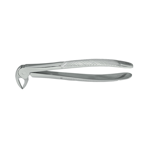 Nordent #33 Lower Root Extraction Forcep