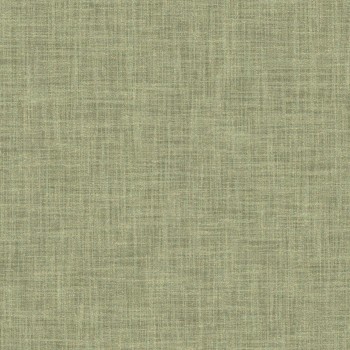 DREAM-58 Curtains