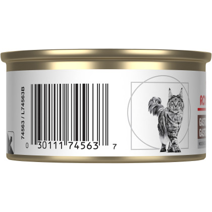 Royal Canin Veterinary Diet Feline Gastrointestinal Moderate Calorie Thin Slices in Gravy Canned Cat Food