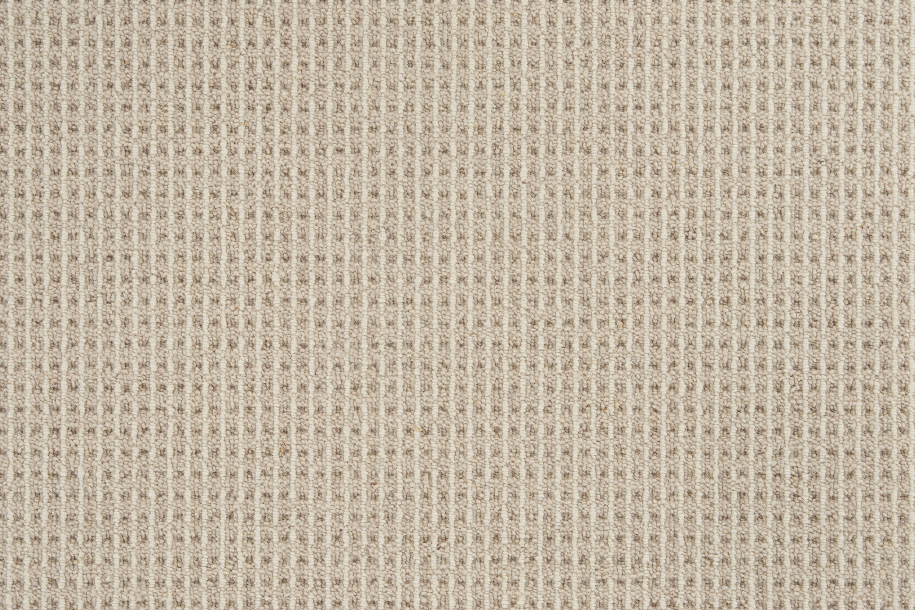 color-rug1