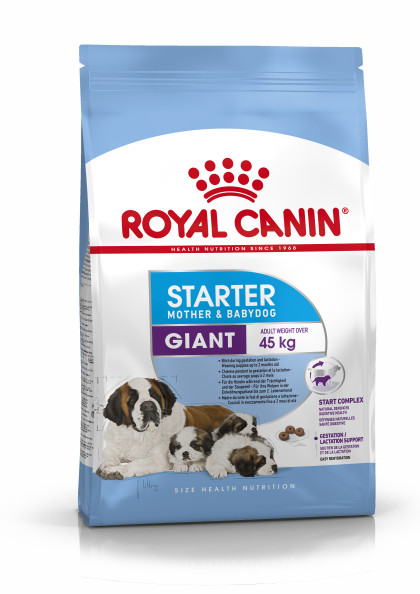 Giant Starter Mother & Babydog