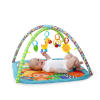 Zippy Zoo™ Activity Gym