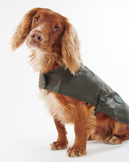 Hundemantel Wachs