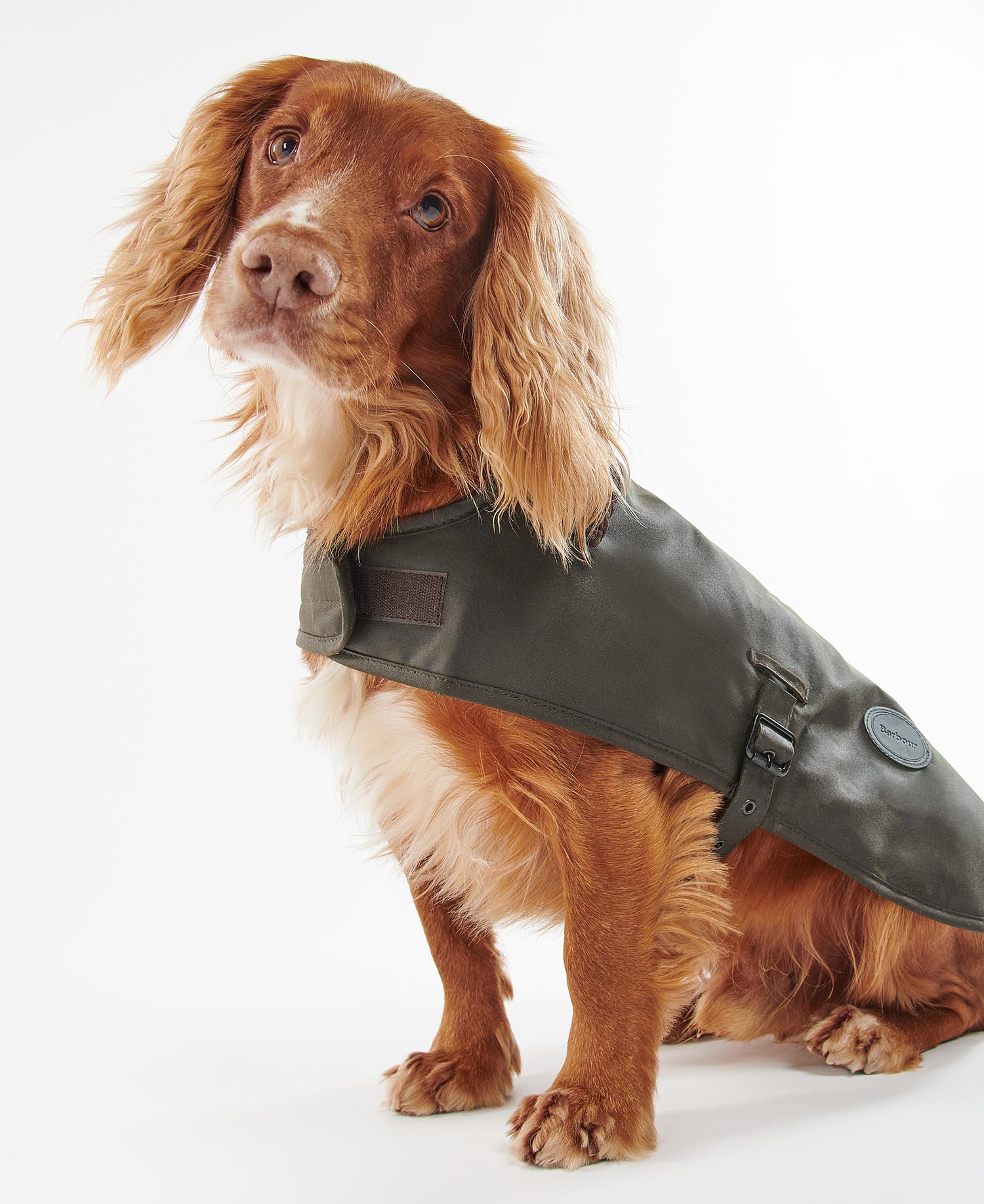 Hundemantel Wachs image number 1