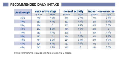 Adult large dog feeding guide