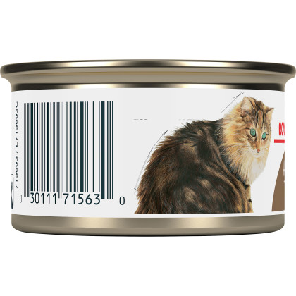 Royal Canin Feline Health Nutrition Aging 12+ Thin Slices In Gravy Canned Cat Food