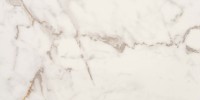 Marble Obsession Calacatta Gold 12×24 Field Tile Matte Rectified