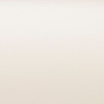 Cream-colored wall with subtle paperlike texture, unadorned and evenly lit, occupying the frame as a neutral backdrop in a softly lit interior or studio environment.