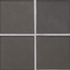 Elevations Shadow Matte 1-1/4×5 Mini Extrados Decorative Tile