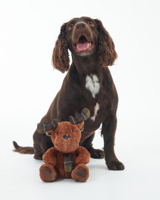Renna giocattolo per cani 
