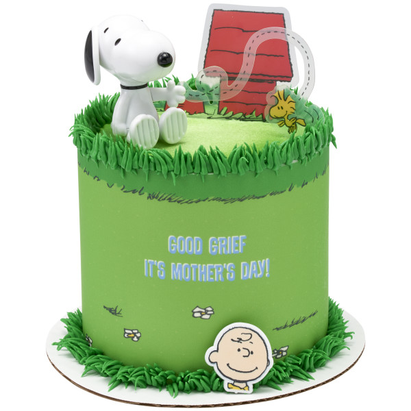 Peanuts® Snoopy® and Woodstock® DecoSet®