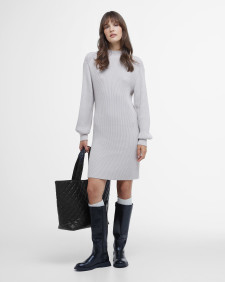 Franchesca Knitted Mini Dress Silver Cloud