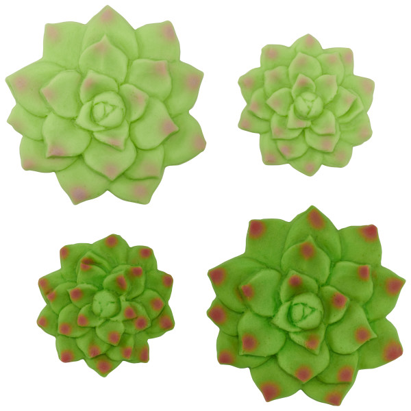 Succulents Sweet Décor® Edible Decorations
