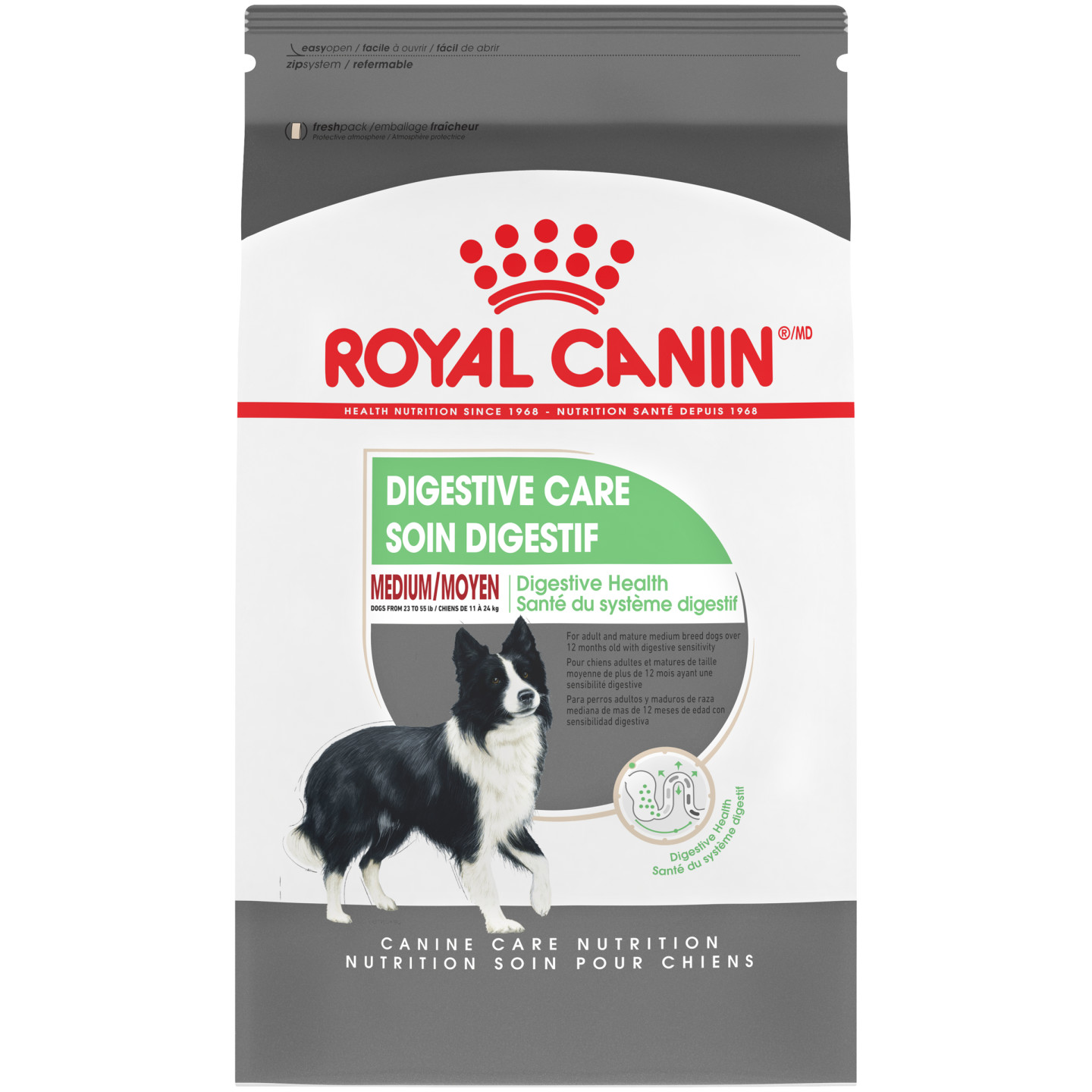 Medium size dog food Royal Canin