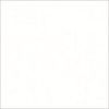 Blank white square (plain canvas) fills the frame, uniformly lit and featureless, with a faint gray border suggesting a centered panel against a neutral background.