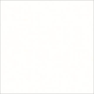 Blank white square (plain canvas) fills the frame, uniformly lit and featureless, with a faint gray border suggesting a centered panel against a neutral background.