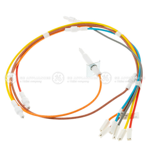 ELECTRODES & HARNESS H. V.