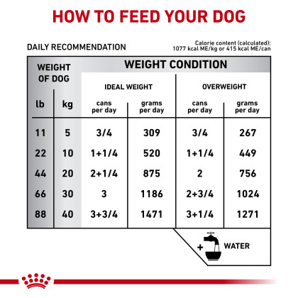 Canine Gastrointestinal Loaf Canned Dog Food - Formerly Gastrointestinal High Energy 