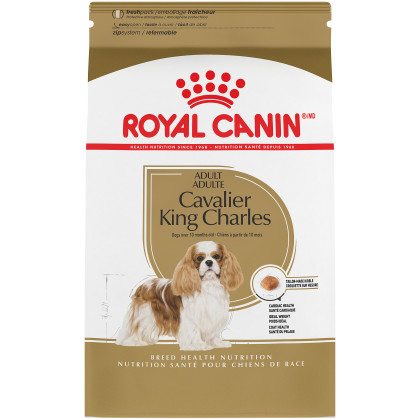 Cavalier King Charles Adult Dry Dog Food