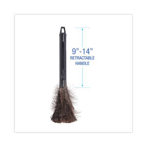 Boardwalk, Retractable Feather Duster, 9" To 14" Handle, Ostrich Feather, Black, 5 in