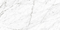 Tremaine White 12×24 Field Tile Polished