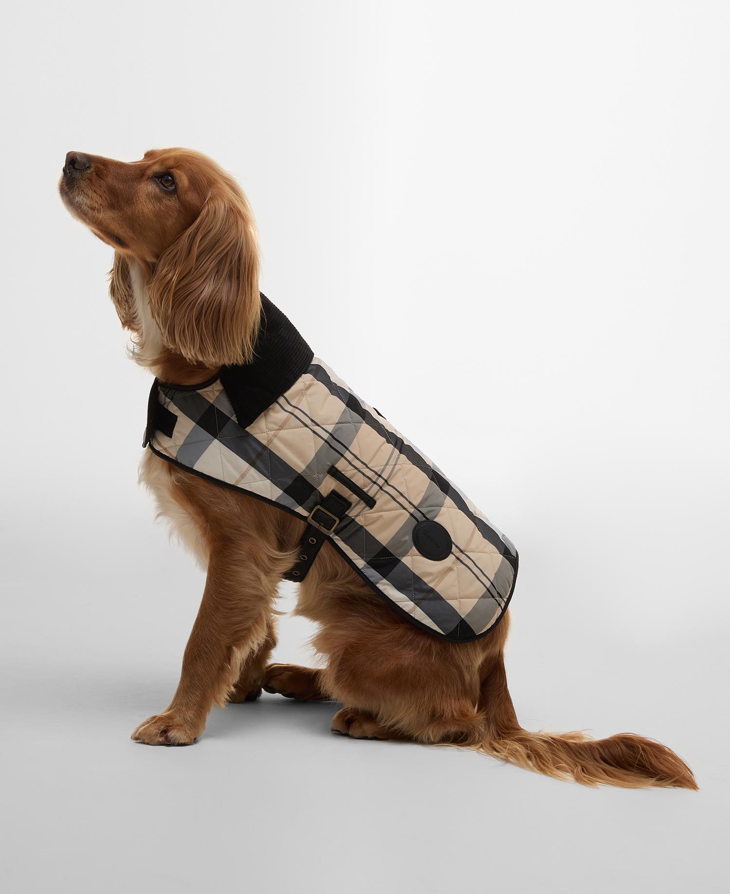 Cappotto per cani Tartan image number 0