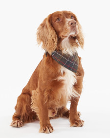 Tartan Bandana 