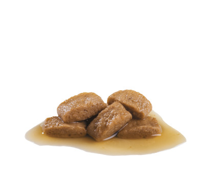 Maxi Adult (in gravy) kibble