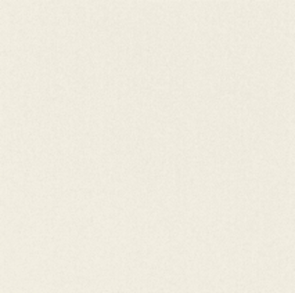 matboard-artique-muslin-32x40-inches-larson-juhl