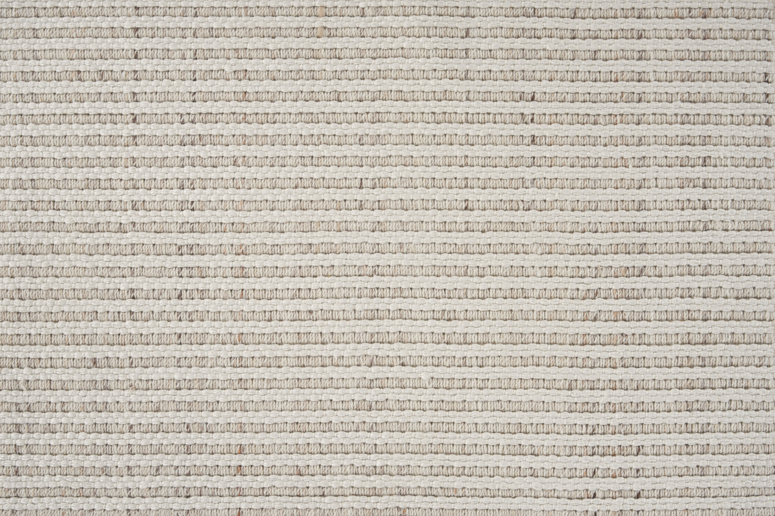 TAHITI THITI OYSTER - Image 1