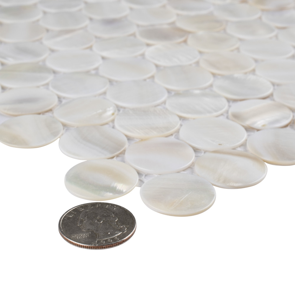 Conchella Penny White 11.25x11.63 Round Natural Shell Wall Only Digital Pattern