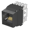 NetKey Cat 6A Jack Module, Black